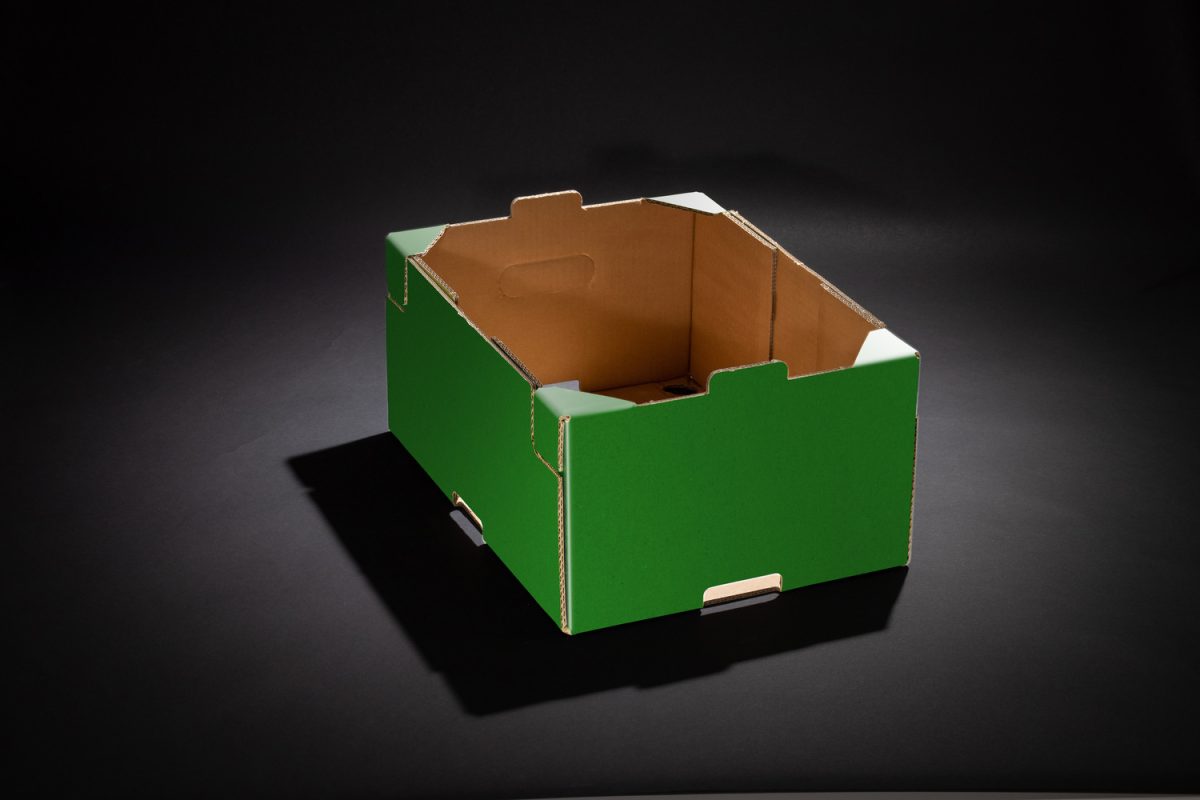 SIM BOX 400X300X180 RGB GREEN